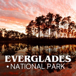 Everglades National Park Tour
