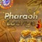 Welcome to Pharaoh Lounge - the best place to have a good time