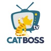 CatBoss TV Cat Training