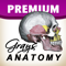 App Icon for Grays Anatomy Premium Edition App in Pakistan IOS App Store