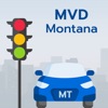 Montana MVD Driver Test Permit