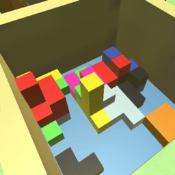 Blocks 3D Puzzle