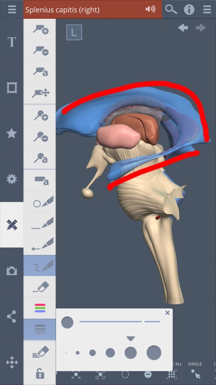 Primal's 3D Head & Neck screenshot-4