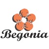 Begonia Clothing Brand