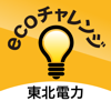 TOHOKU ELECTRIC POWER COMPANY,INCORPORATED - 東北電力ecoチャレンジ アートワーク