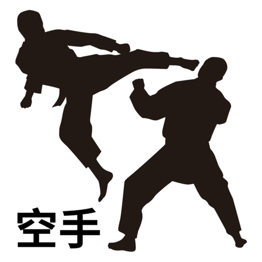 Aprender Karate con Jorge Sanz icon