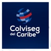 Colviseg