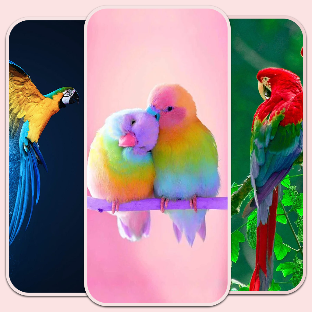 Get Birds live Wallpaper - 4k for iOS, iPhone, iPad Aso Report