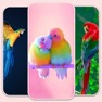 Get Birds live Wallpaper - 4k for iOS, iPhone, iPad Aso Report