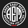 Ares East Mesa BJJ Academy