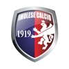 Imolese Calcio 1919