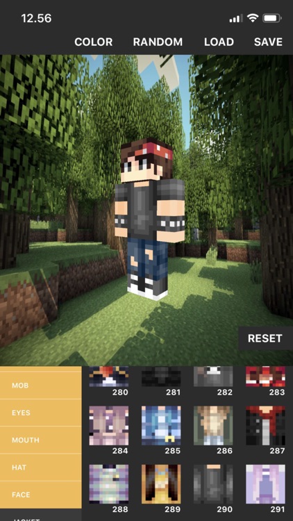 Custom Skin Creator screenshot-6