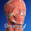 3D Organon Anatomy Enterprise