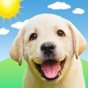 Icon Weather Puppy Forecast + Radar
