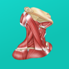 Easy Anatomy. Atlas & quiz - Anvar Basharov