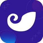 Car maintenance record