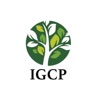 IGCP Contábil