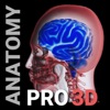 3D Human Anatomy Pro