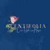 Centifolia Rose