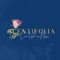 Centifolia Rose application is your gateway to buy fresh flowers