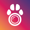 PetCam App - Dog Camera App - Klug Home Solutions Tecnologia Ltda
