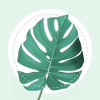 Plant Identifier AI  logo