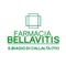 L'App della Farmacia Bellavitis di San Biagio di Callalta ti permette di avere il tuo farmacista di fiducia sempre a portata di mano con consigli, informazioni, prenotazioni, ordini, richieste di prodotti e servizi in farmacia