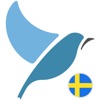 Bluebird: Learn Swedish