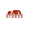 Ulurus