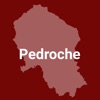 Pedroche