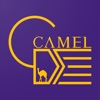 Camel Delivery Shipper