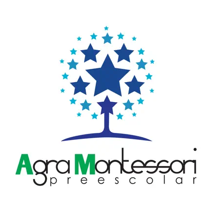 Agra Montessori Читы