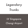 LV Singapore Changi 2