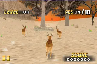 Savanna Race - Screenshot 3