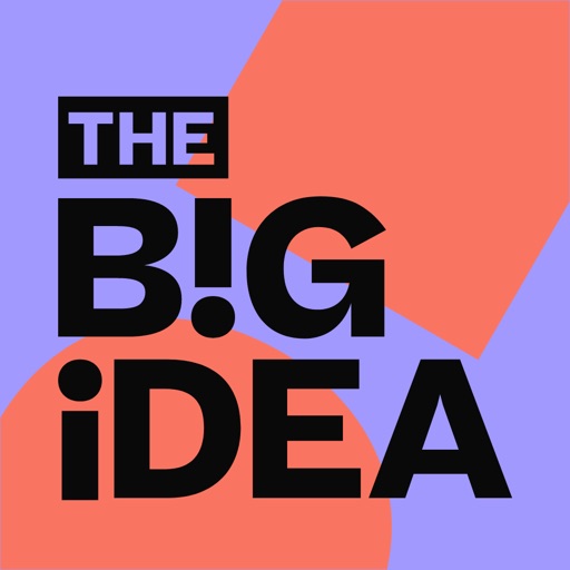 The B!G Idea Mentors