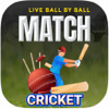 IPL Live - Cricket Live Score - Patel Gaurav
