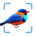 Bird ID Identifier