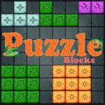 Block Puzzle Drag