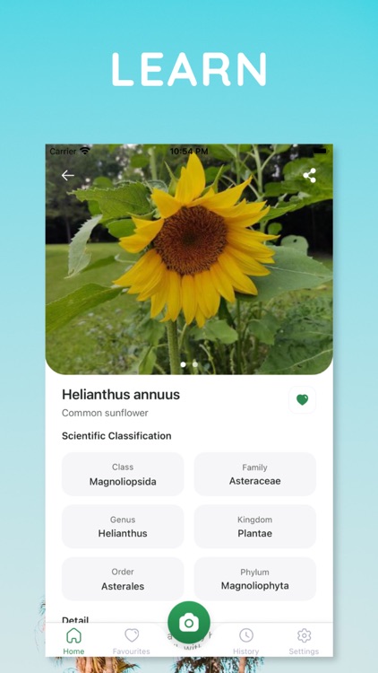 The Plant Identification App screenshot-3