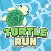 Turtle run!!
