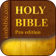 Multilingual Bible