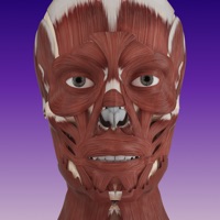 AMI Facial Anatomy