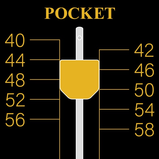 Pocket Metronome iOS App