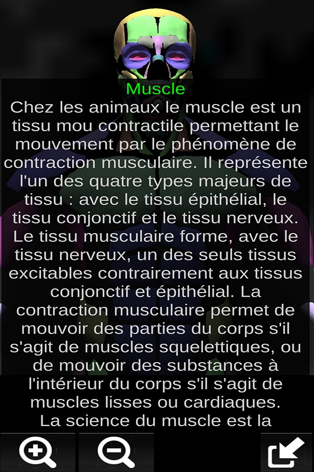 Muscular System 3D (anatomy) screenshot 2