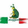 Il Maggiolino srl