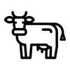 Cow Stickers