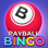 Bingo N Payball: Lucky Winner