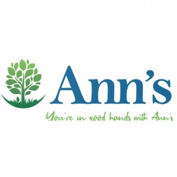 Ann's