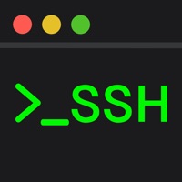 Terminal & SSH ne fonctionne pas? problème ou bug?