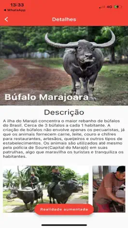 Game screenshot Marajó AR hack
